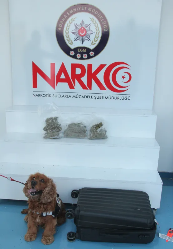 Uyuşturucuyla yakalanan 'Business Class' yolcuları: Kebap yemeye geldik - 6