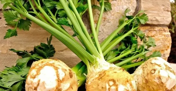 Karacığere kereviz! İltihaplanmaya karşı vücudu korur