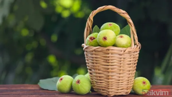 Nefes darlığına asırlık çözüm: İbn-i Sina’nın 2 malzemeli şifa tarifi - 5