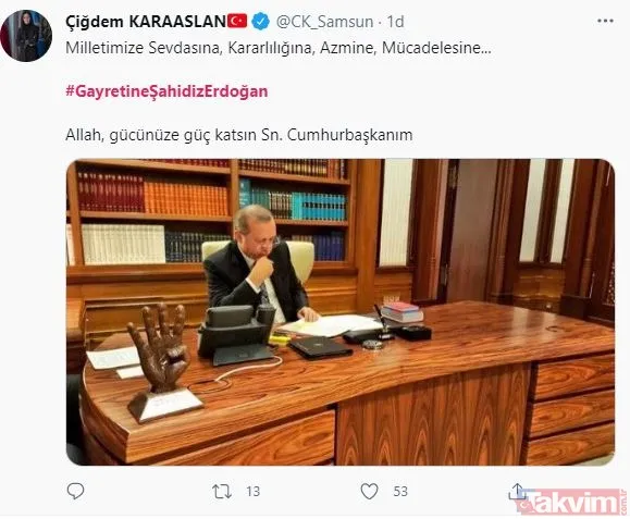 Büyük ve güçlü Türkiye yolunda ömrünü milletine adayan lider: #GayretineŞahidizErdoğan - 6