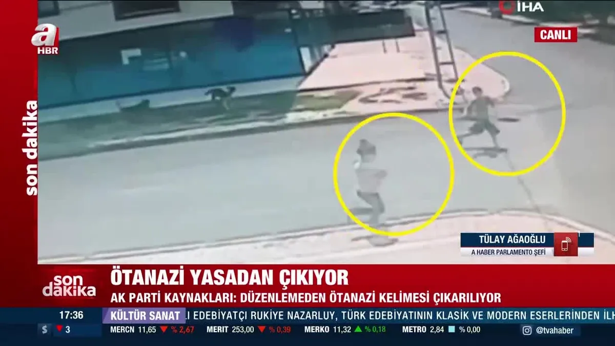 Ötanazi yasadan çıkıyor! İşte detaylar...