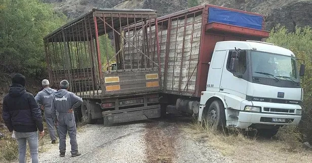 Bolu'da kayan kamyondan atlayan sürücü öldü!