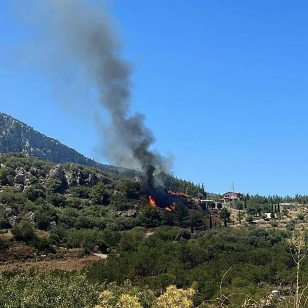 Datça’da orman yangını!