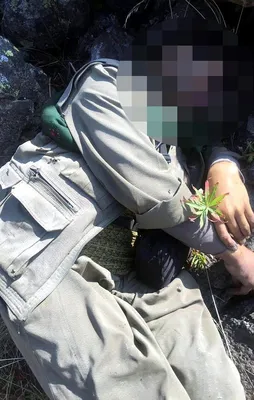 PKK'nın Tendürek bölge sorumlusu öldürüldü