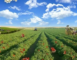 Az sermayeyle çok kazanç