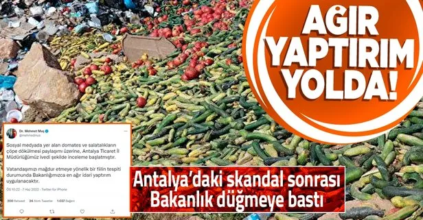Antalya’da boş araziye dökülen sebzeler sonrası Ticaret Bakanlığı inceleme başlattı: En ağır idari yaptırım uygulanacak