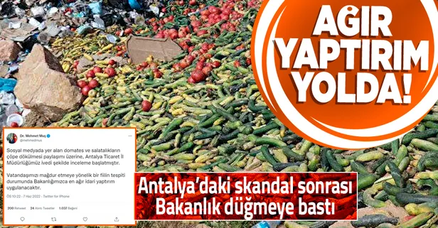 Antalya'da boş araziye dökülen sebzeler sonrası Ticaret Bakanlığı inceleme başlattı: En ağır idari yaptırım uygulanacak