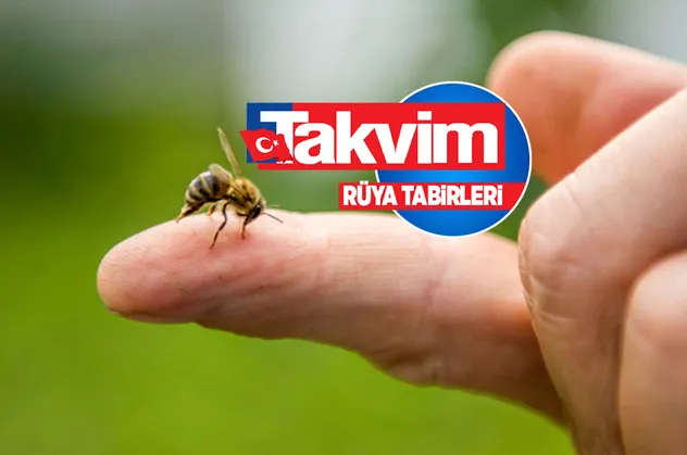 Rüyada arı öldürmek ne anlama gelir, neye işarettir? Rüyada arı sokmasının anlamı, yorumu