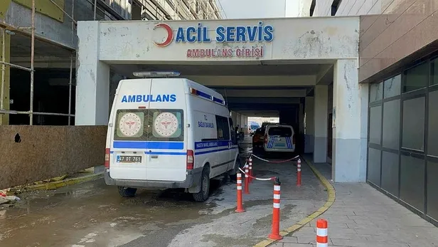 Mardin’in Savur ilçesinde husumetli ailelerin silahlı kavgasında Mehmet Genç ve İdris Sidar yaşamını yitirdi-5