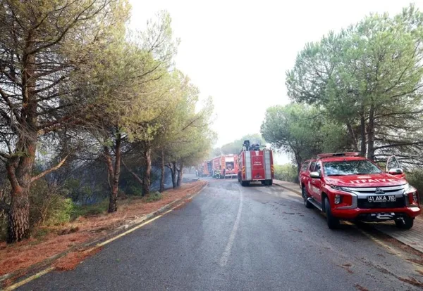 kocaelinin-gebze-ilcesinde-bulunan-tubitak-ormanlik-alaninda-yangin-cikti-1692289931397.jpeg TÜBİTAK ormanlık alanında yangın! 2 saat süren müdahalelerinin ardından kontrol altına alındı-5