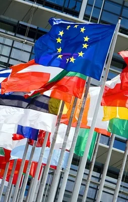 Önlenemez çöküş