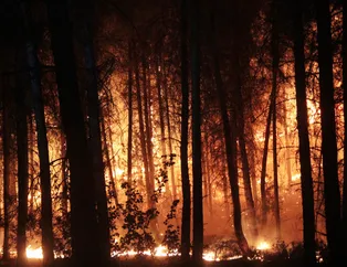 Pes artık! Yangın fırsatçıları yüzde 630 zam yaptı