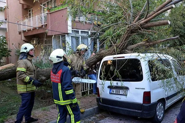 Avcılar'da otomobilin üstüne ağaç devrildi-1