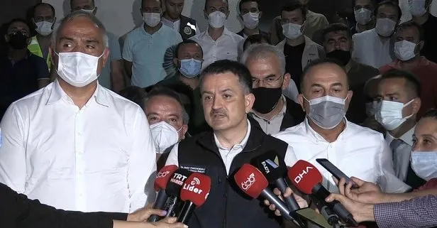 Bakanlardan orman yangınına ilişkin açıklama