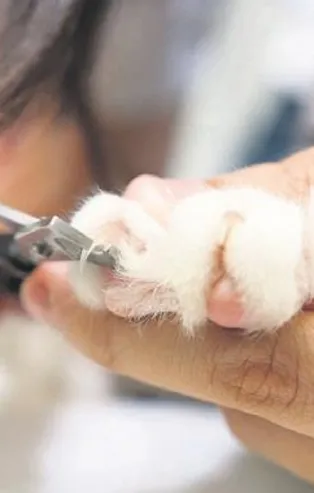 Özgürlük bu değil!