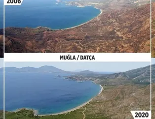 Orman yangınları üzerinden algı yapanları yerin dibine sokacak haber! Rant iddialarına karşılaştırmalı yanıt geldi