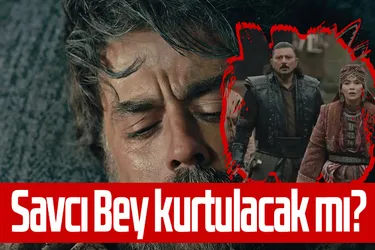 Nikola tuzak kurdu, Savcı Bey ağır yaralandı