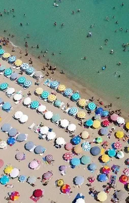 Erdoğan konuştu, turizmciler coştu