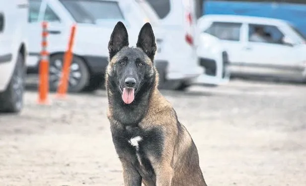evleri-yikildi-hayalleri-yikilmadi-depremzede-uc-genc-kiz-hayallerinden-vazgecmedi-1678833472682.jpeg Evleri yıkıldı hayalleri yıkılmadı! Depremzede üç genç kız hayallerinden vazgeçmedi-4