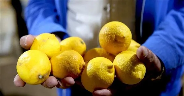 Kansızlığa limon!