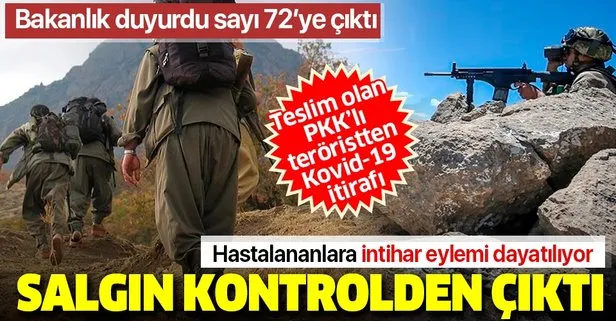 Son dakika: PKK’lı terörist Mardin’de teslim oldu!