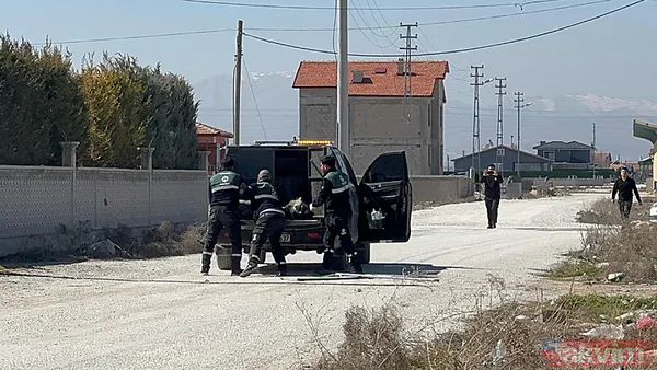 10 köpeğin saldırısına uğradı! 2 yaşındaki Rana hayatını kaybetti! Soruşturma başlatıldı - 5