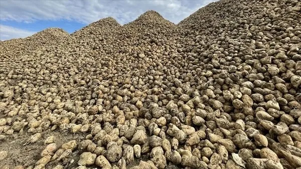 Şeker fiyatlarına 6 kat zam! Fahiş zam için bakanlık harekete geçti! Cezalar yolda-3