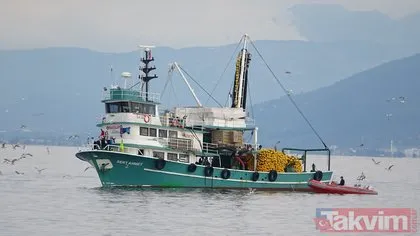 Balıkçılardan Marmara’da rekor! 600 bin kilo hamsi saatler içinde yakalandı