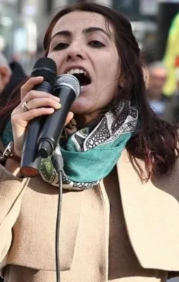 Hollanda tüm "hayır kampanyalarına" izin verdi