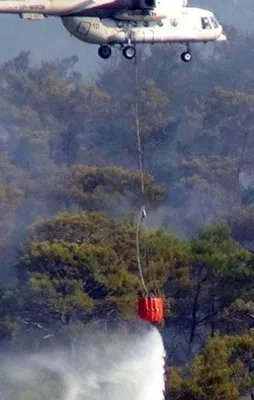 Milas'ta orman yangını