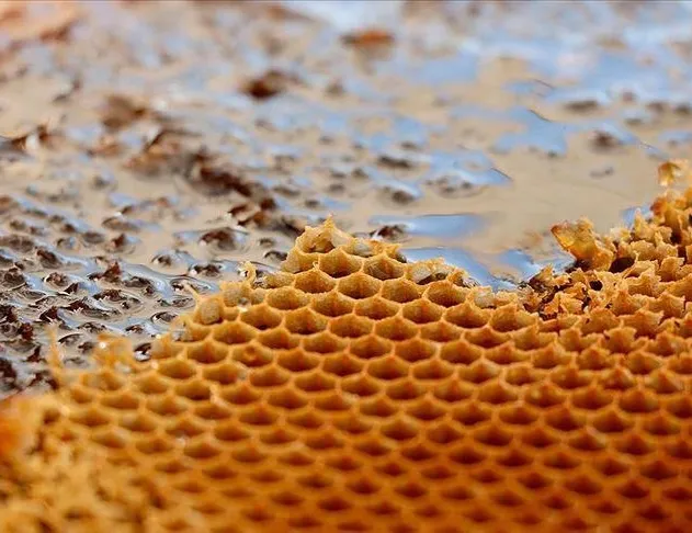 Antibiyotik yerine bal