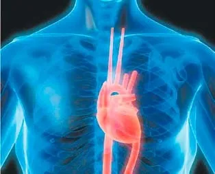 Masadaki kalp 25 dakika attı