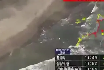 Deprem sonrası Japonya'da çok sayıda balına kıyıya vurdu! İşte o görüntüler