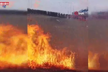'Kuş Cenneti' deltasında yangın!