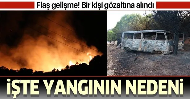 Son dakika: Marmara Adası’ndaki yangının nedeni belli oldu! Bir kişi gözaltına alındı