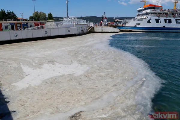 Müsilaj (deniz salyası) ticareti de etkiledi! Balık satışları durdu - 16