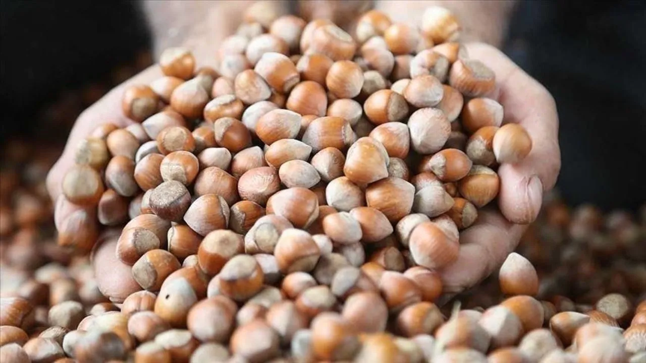 Fındık ile göbeği eritin!