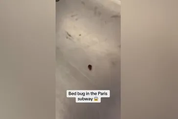 Paris’te tahtakurusu istilası!