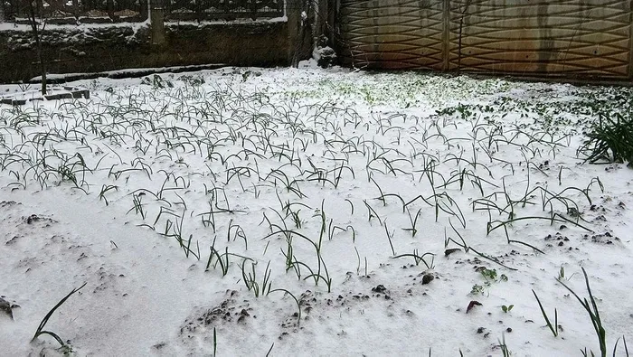 hava-durumu-istanbula-kar-yagisi-basladi-sicakliklar-10-derece-birden-dustu-bugun-hava-nasil-olacak-1704791815803.jpeg HAVA DURUMU | İstanbul'a kar yağışı başladı! Sıcaklıklar 10 derece birden düştü! Uyarı üstüne uyarı: Yağışlar ne kadar devam edecek? Hafta sonu kar var mı?-24