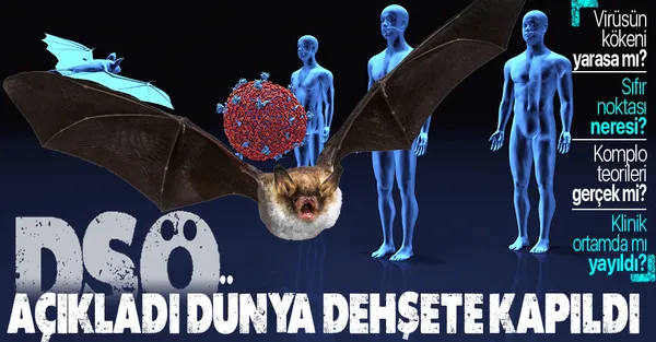 DSÖ açıkladı dünya dehşete kapıldı! Koronavirüsün kaynağı Wuhan mı? Komplo teorileri doğru mu? Koronavirüs yarasadan mı yayıldı?-1