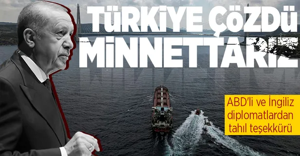 ABD'li ve İngiliz diplomatlardan Türkiye'ye "Ukrayna tahılı" teşekkürü