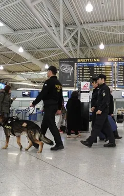 Atina Havalimanı'nda FETÖ operasyonu