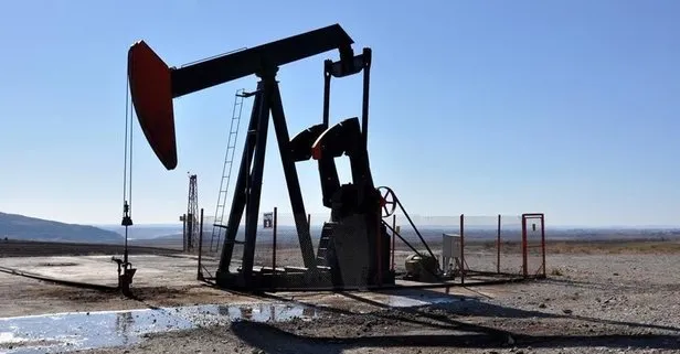 TPAO’nun Diyarbakır ve Şanlıurfa’daki petrol arama ruhsatının süresi 2 yıl uzatıldı
