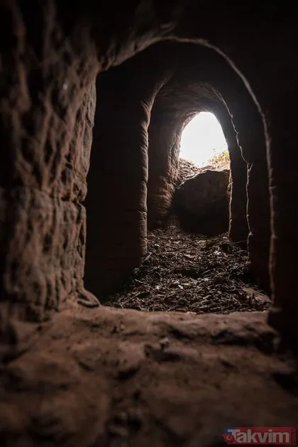 Tavşan deliğini takip edenler 700 yıllık mağaraya ulaştı! Dünyayı şaşkına çeviren tavşan deliği…