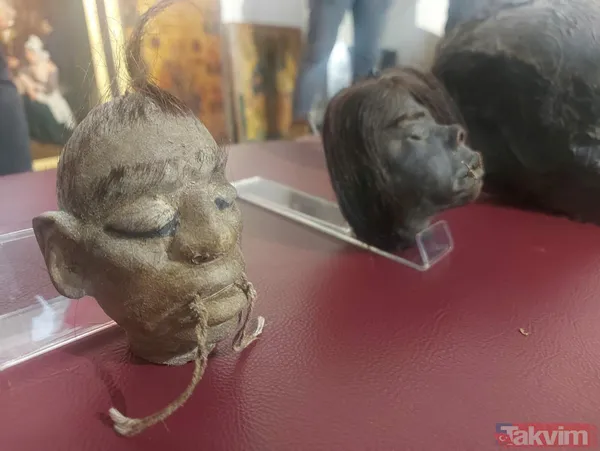 'Tsantsa' olarak bilinen insan kafaları ülkelere iade edilecek - 13