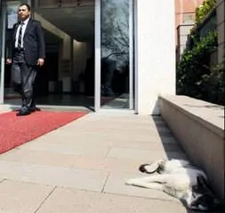 Maskotları canavar aldı