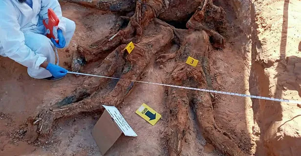 Libya'da darbeci Hafter'den kurtarılan Terhune'deki toplu mezarlardan 7 ceset daha çıkarıldı