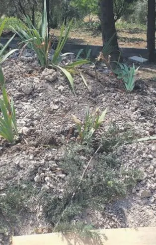 Bursa'da cinnet geçiren anne ve öldürdüğü çocukları toprağa verildi