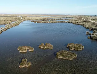Karadeniz’de büyük tehlike! ’Geri dönüşsüz bir noktaya gidebiliriz’