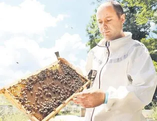 Bal gibi kazanç